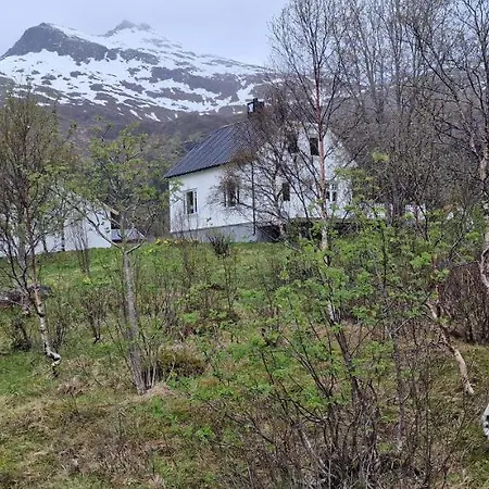 Pilan Lofoten *