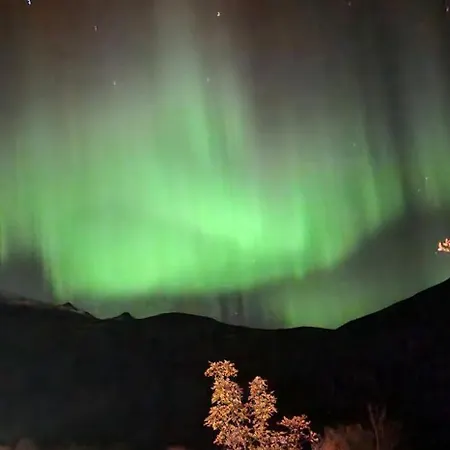 Holiday home Pilan Lofoten