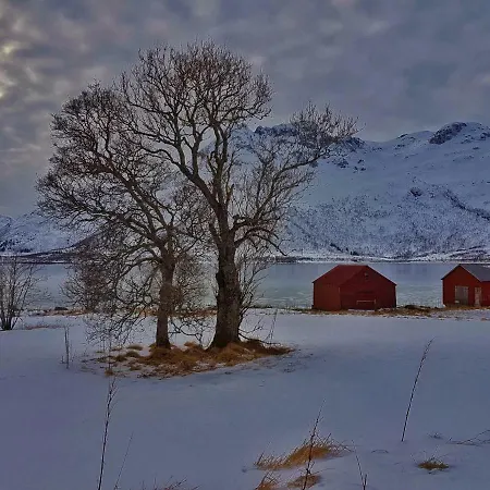 Hébergement de vacances Pilan Lofoten