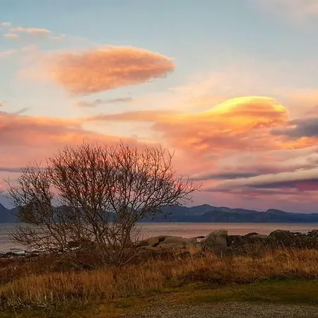 Pilan Lofoten