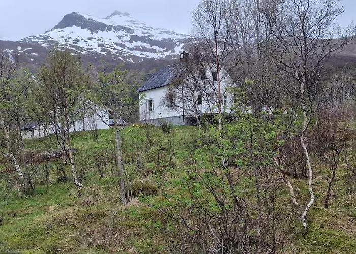 Pilan Lofoten *