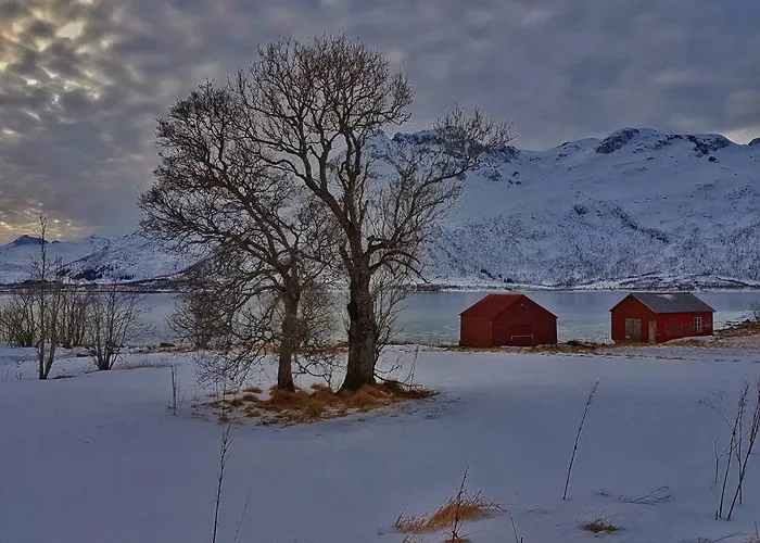 Hébergement de vacances Pilan Lofoten