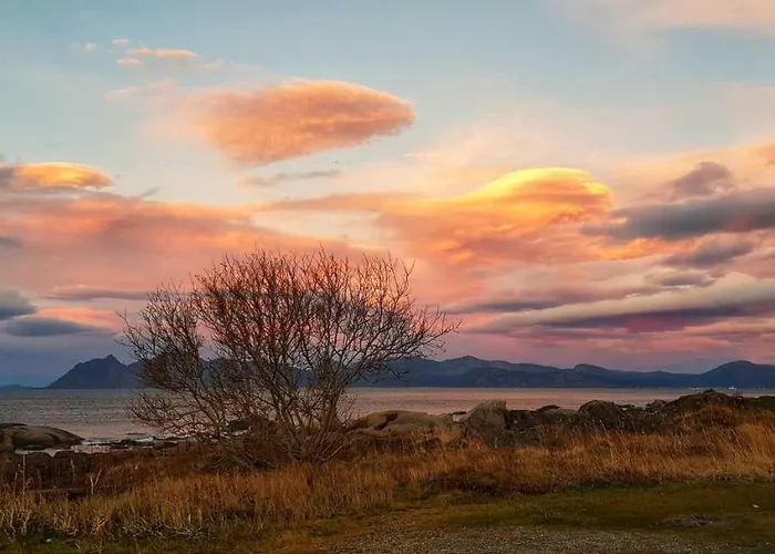 Pilan Lofoten