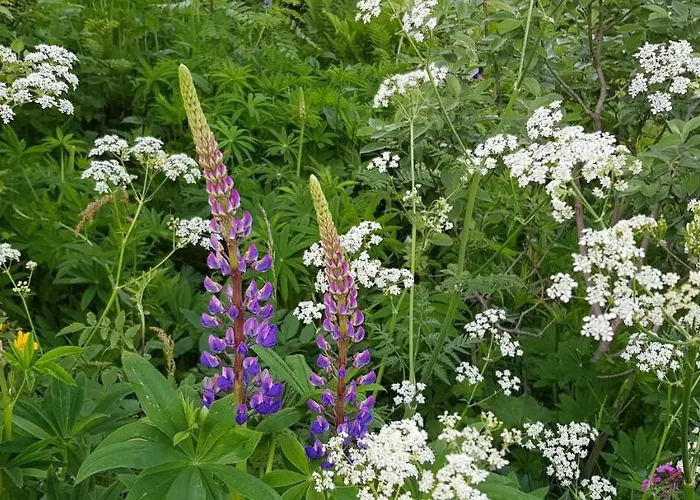 Pilan Lofoten Дом отдыха Vestpollen