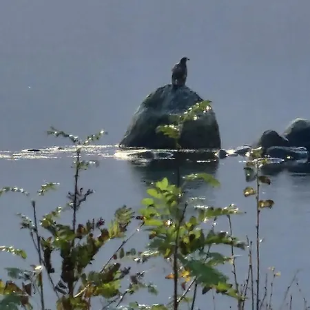 Pilan Lofoten * Vestpollen