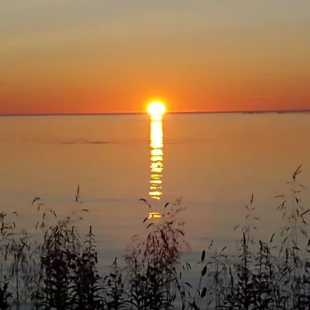 Pilan Lofoten * Vestpollen