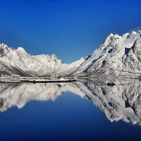 Pilan Lofoten *
