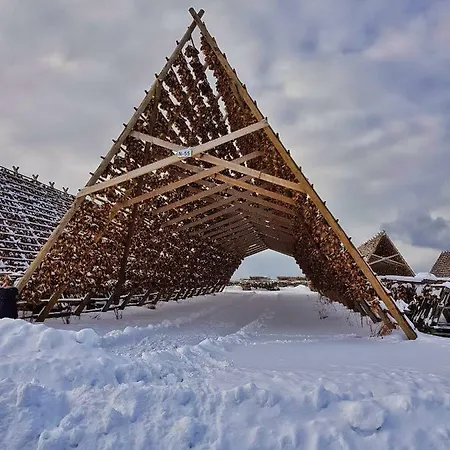 Pilan Lofoten Tatil Evi Vestpollen